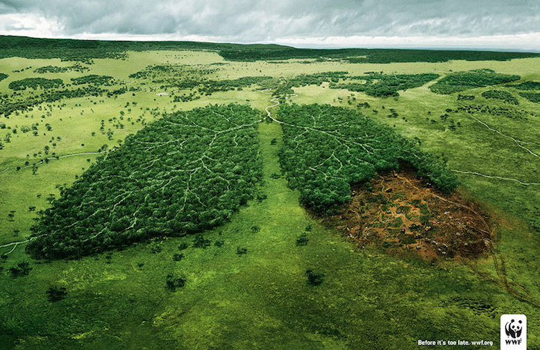 contenido visual para marketing social : WWF