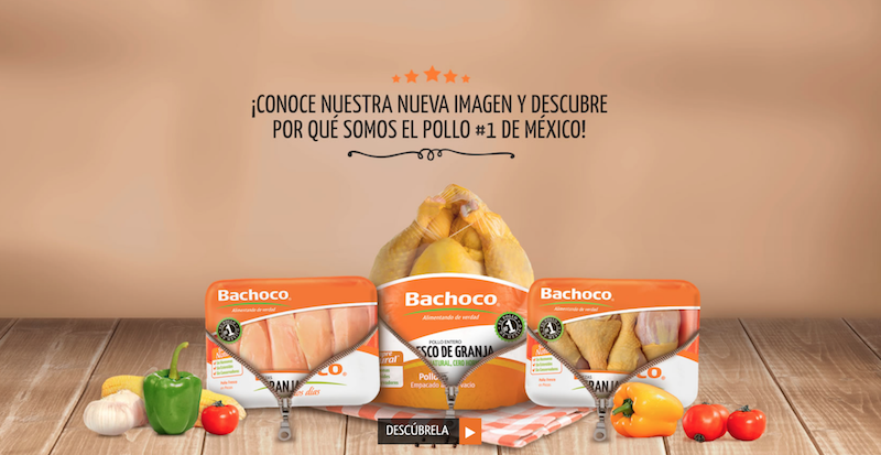 bachoco