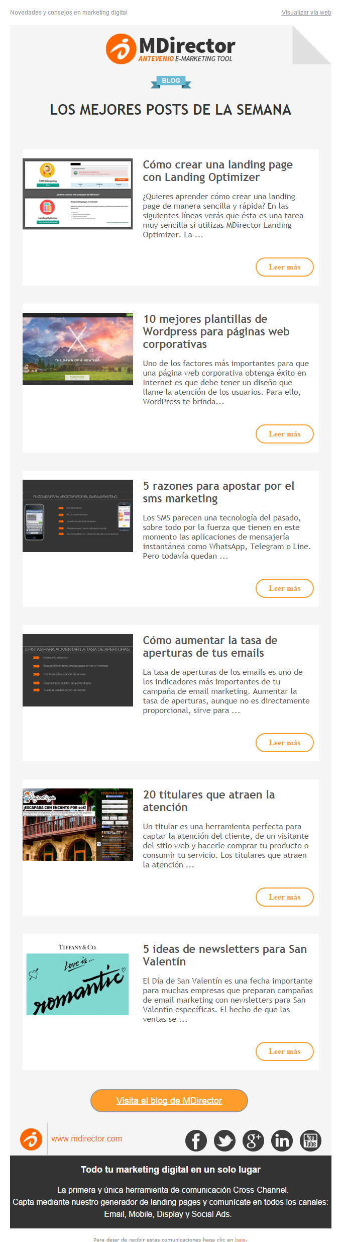 ejemplo de newsletter