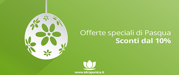 Strategie di marketing per la Pasqua: Sconti