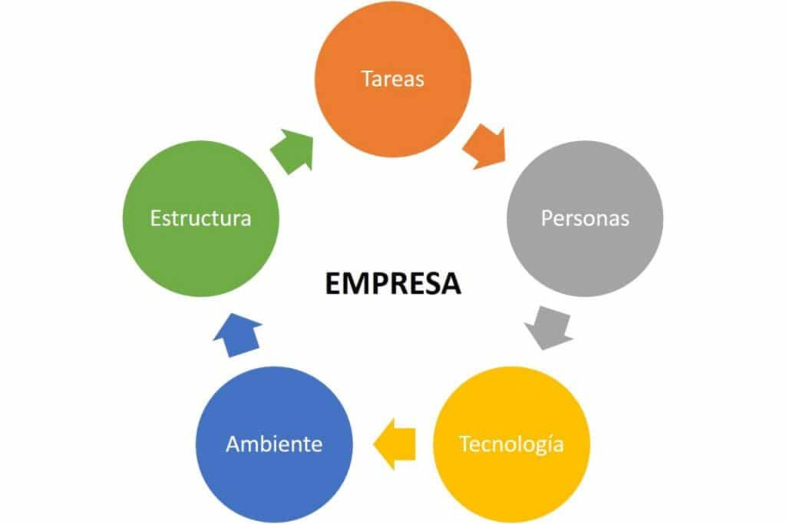 Sinergia organizacional