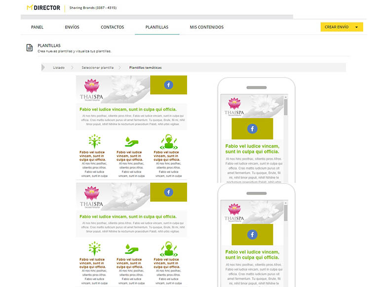 templates de newsletters responsive